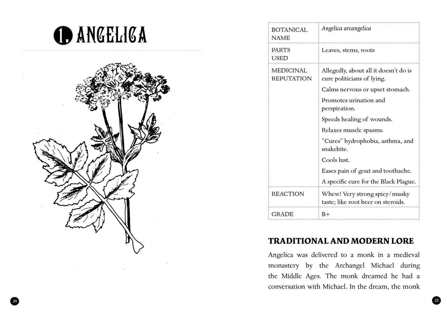 Microcosm Publishing & Distribution - Everyday Herbal Teamaking: Health, Fun, and Self-Care Guide
