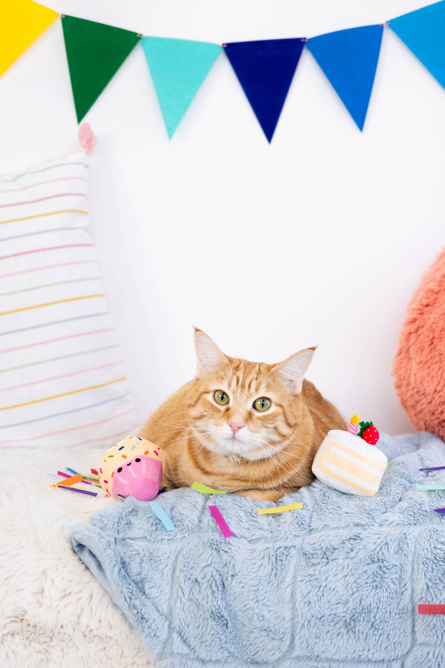 Pearhead - Birthday Cake Cat Toy Set