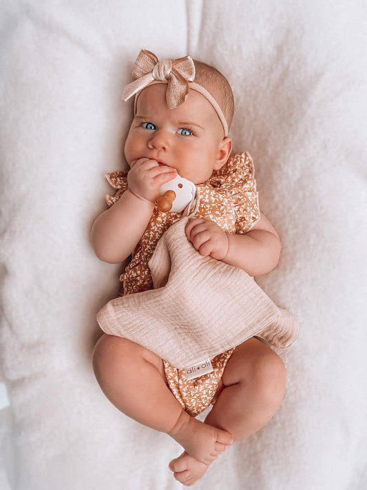 Ali+Oli - Pacifier Blanket Holder (Pink/Flowers)