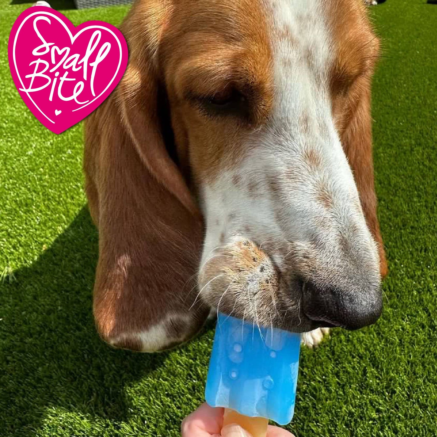 Small Bite Cooling Ice Lolly Teether