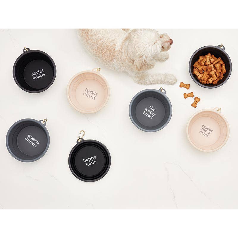 Santa Barbara Design Studio by Creative Brands - Large Collapsible Bowl - FavChild