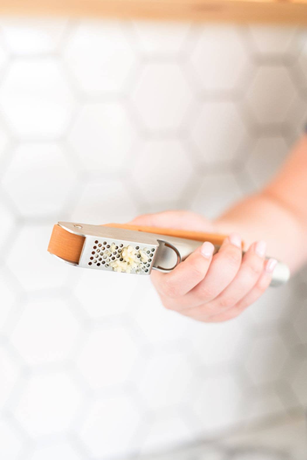 Full Circle Home - The No Mess Garlic Press (formerly Crushed It)