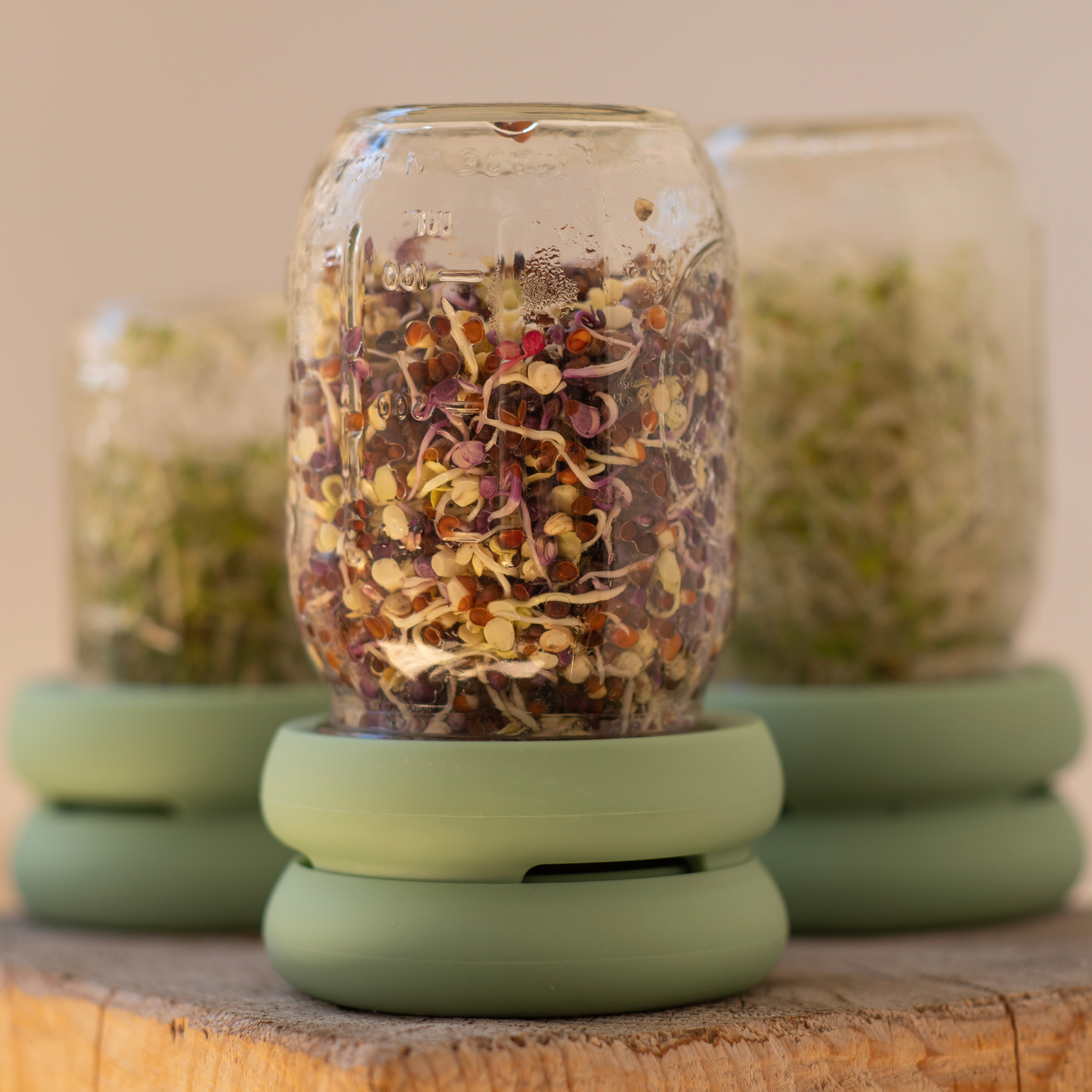Food Huggers - Reusable Silicone Sprouting Lids
