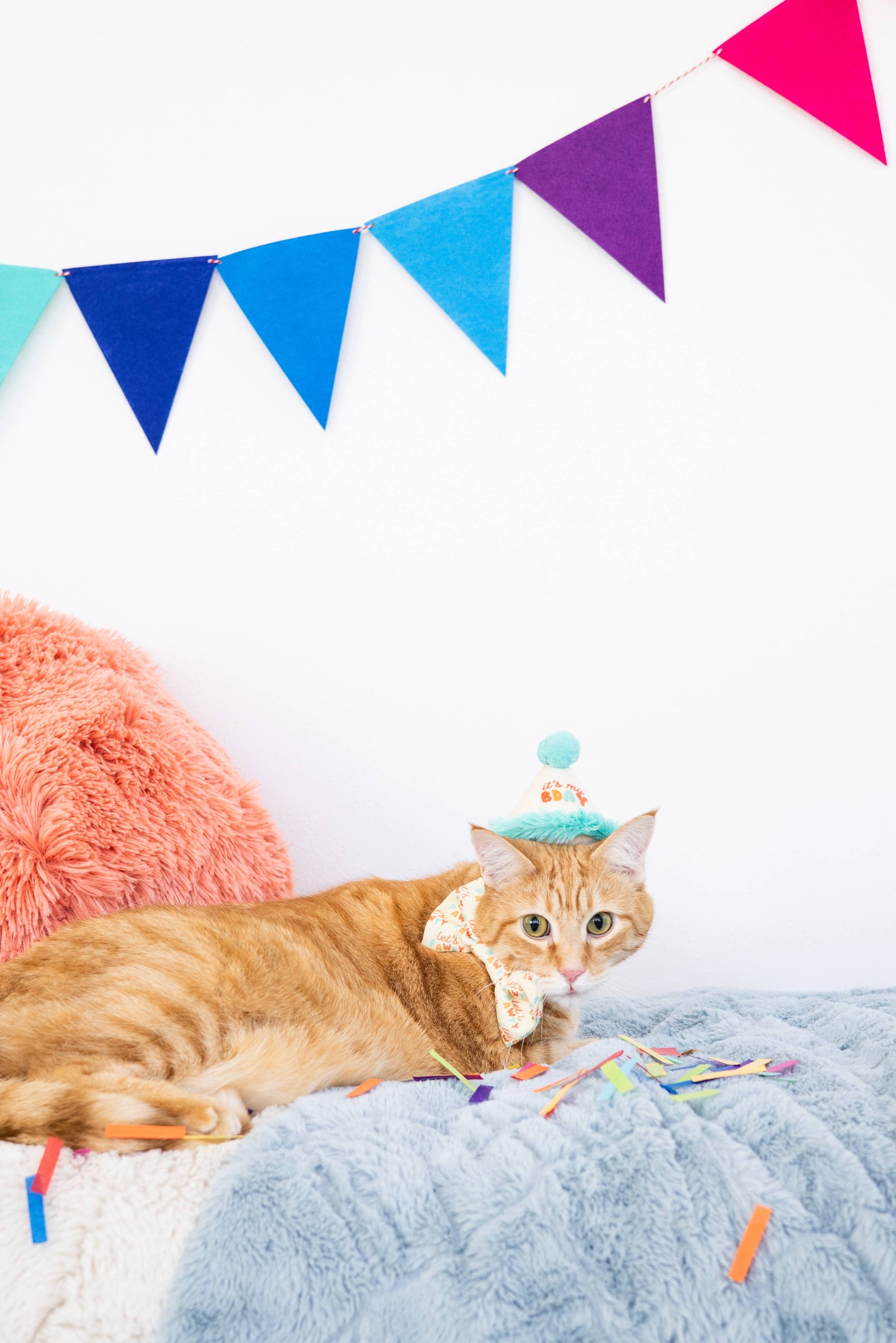 Pearhead - Happy Purrday Cat Hat and Bowtie Set