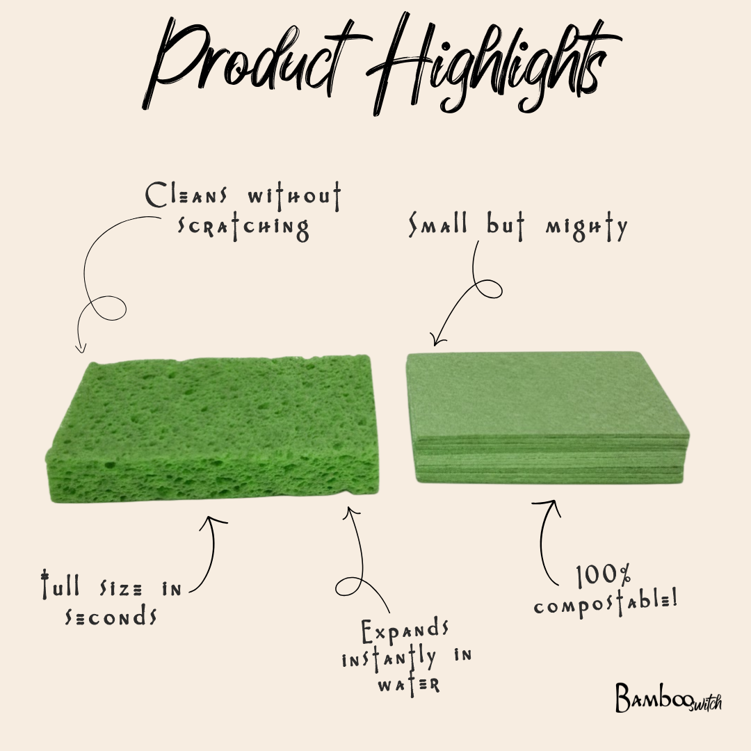 Compostable Cellulose Kitchen Sponge | Earth Day Bestseller