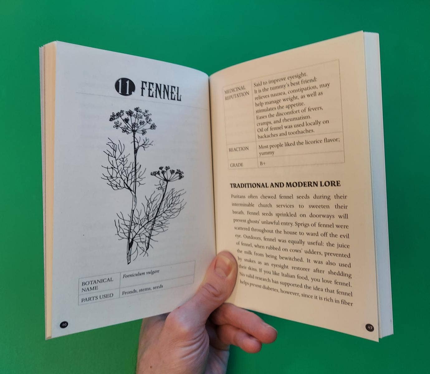 Microcosm Publishing & Distribution - Everyday Herbal Teamaking: Health, Fun, and Self-Care Guide
