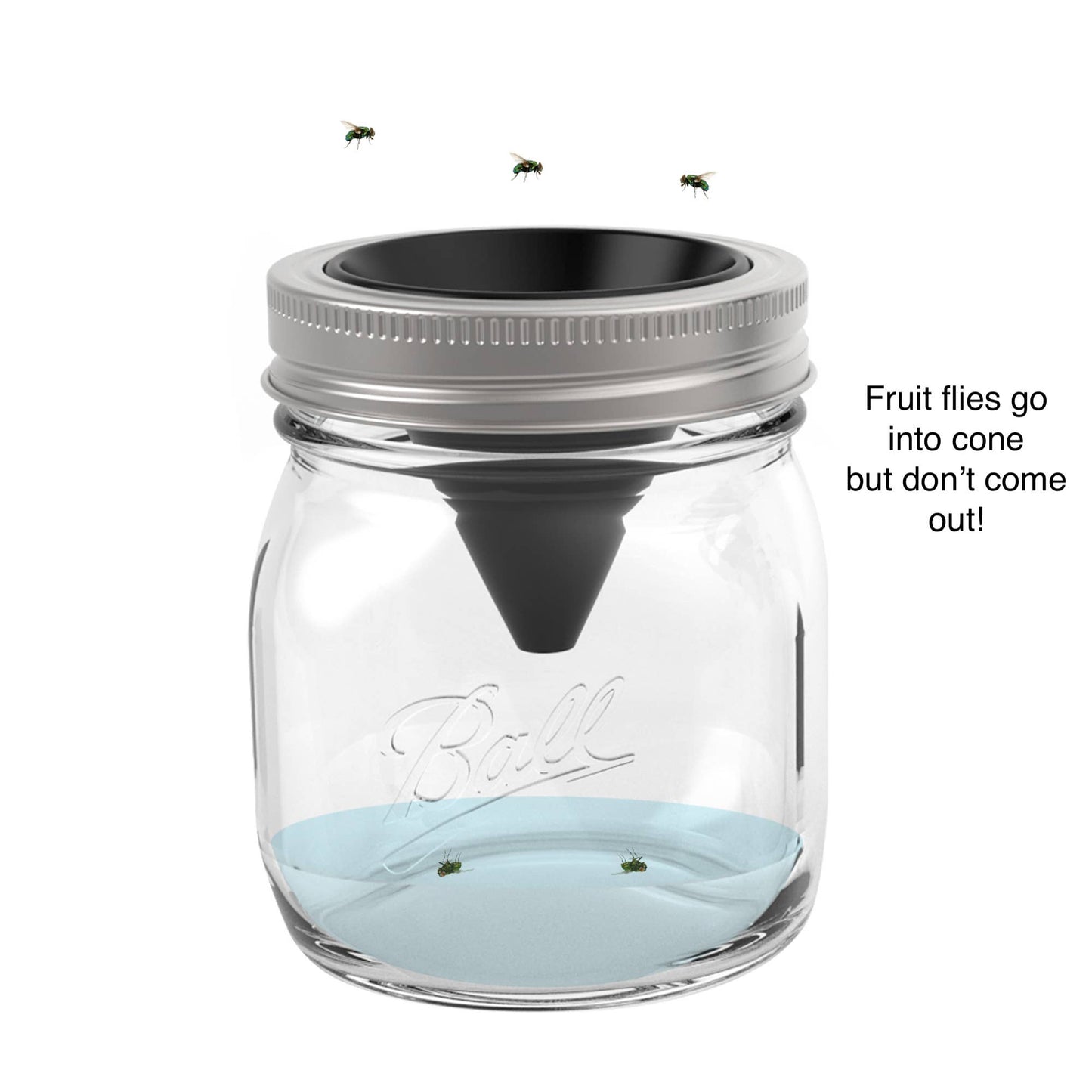 Fox Run Brands - Jarware Silicone Fruit Fly Trap, Regular Mouth Mason Jar