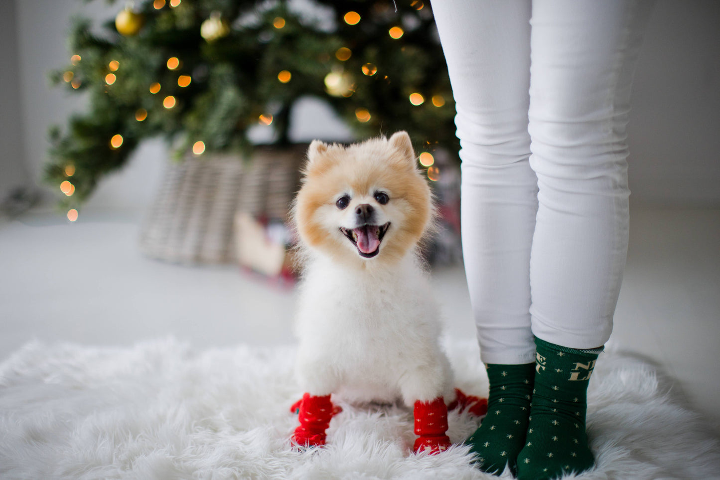 Pearhead - Nice & Naughty List Human & Dog Christmas Sock Set