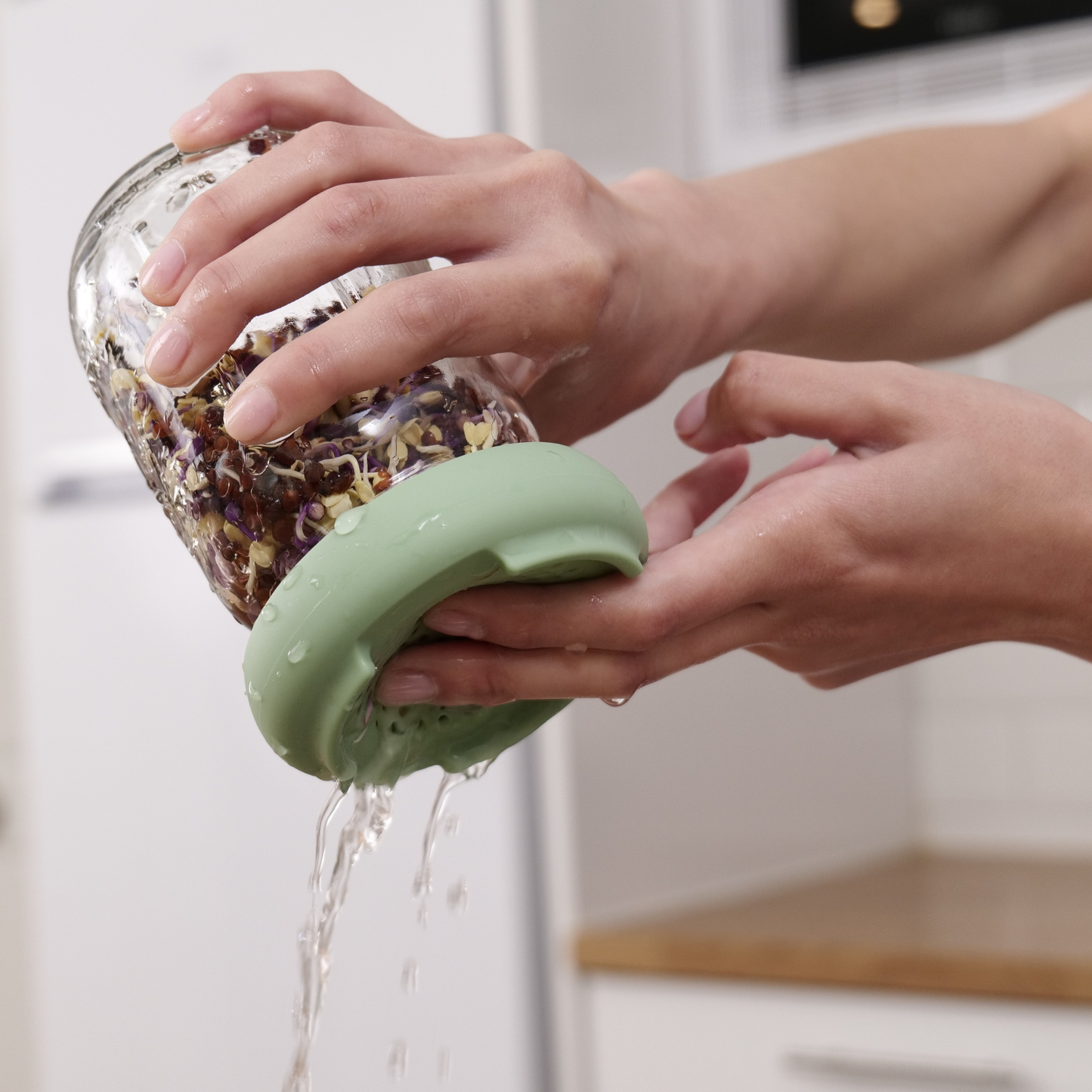 Food Huggers - Reusable Silicone Sprouting Lids