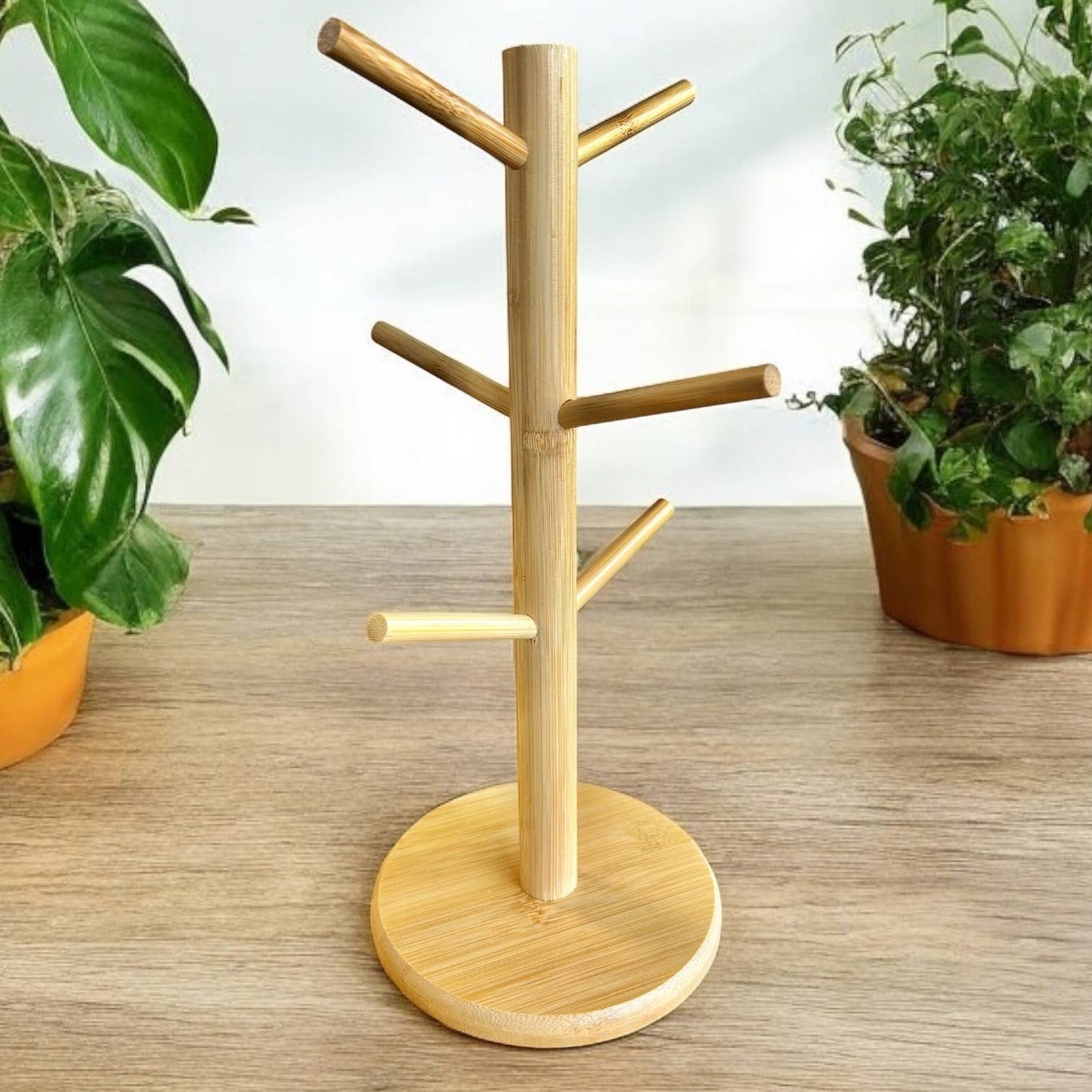 Konjac Facial Sponge Bamboo Retail Display