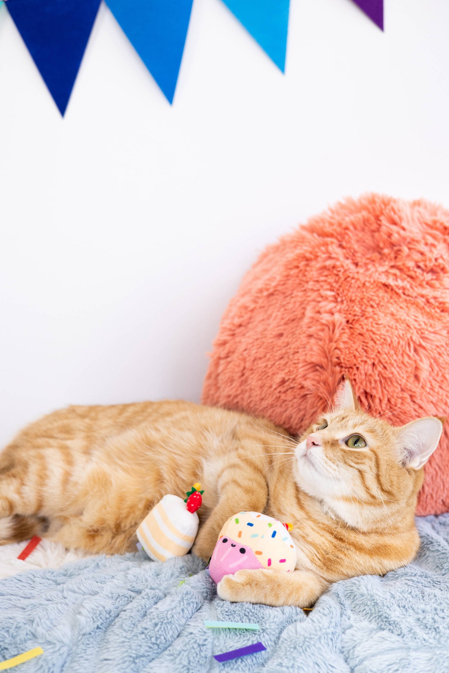 Pearhead - Birthday Cake Cat Toy Set