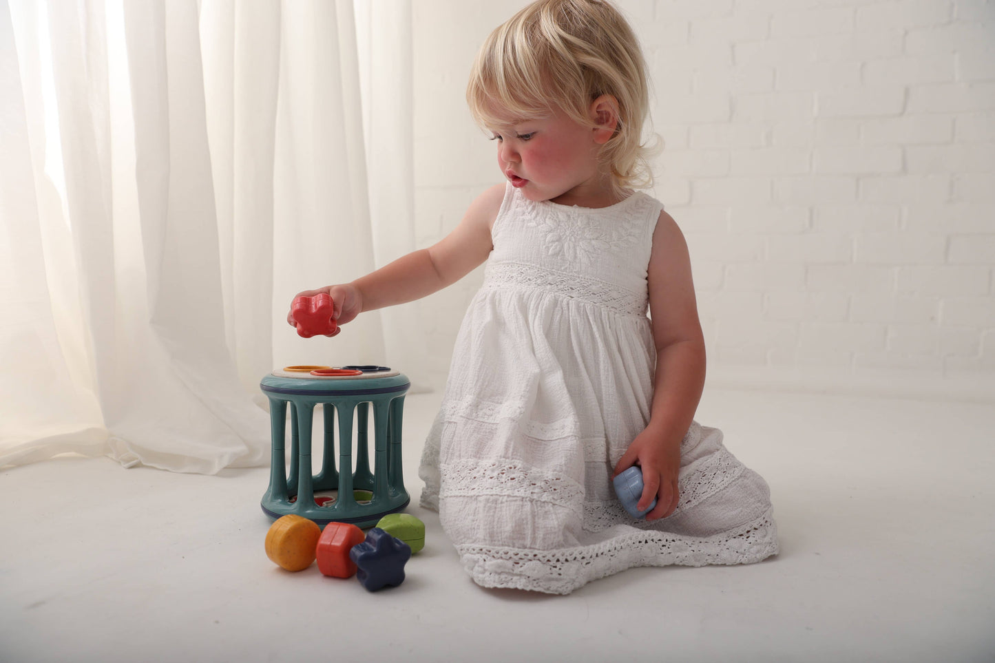Speedy Monkey - Rolling Shape Sorter - TOLO
