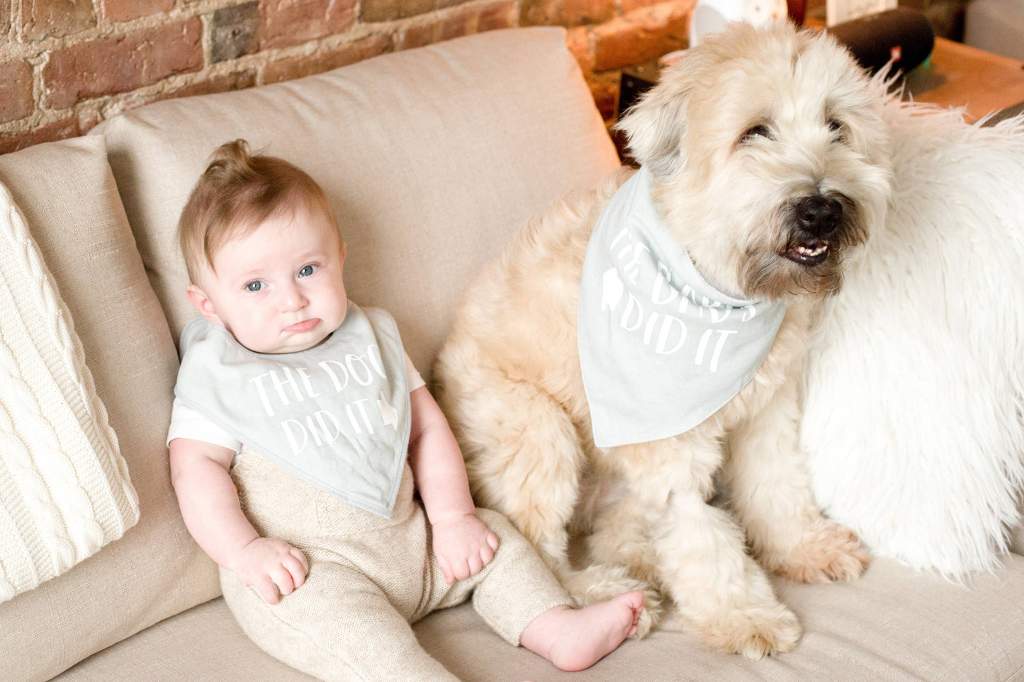 Pearhead - Baby And Pet Bib Set, Gray