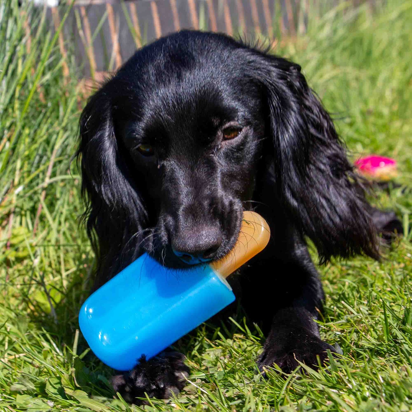 Small Bite Cooling Ice Lolly Teether