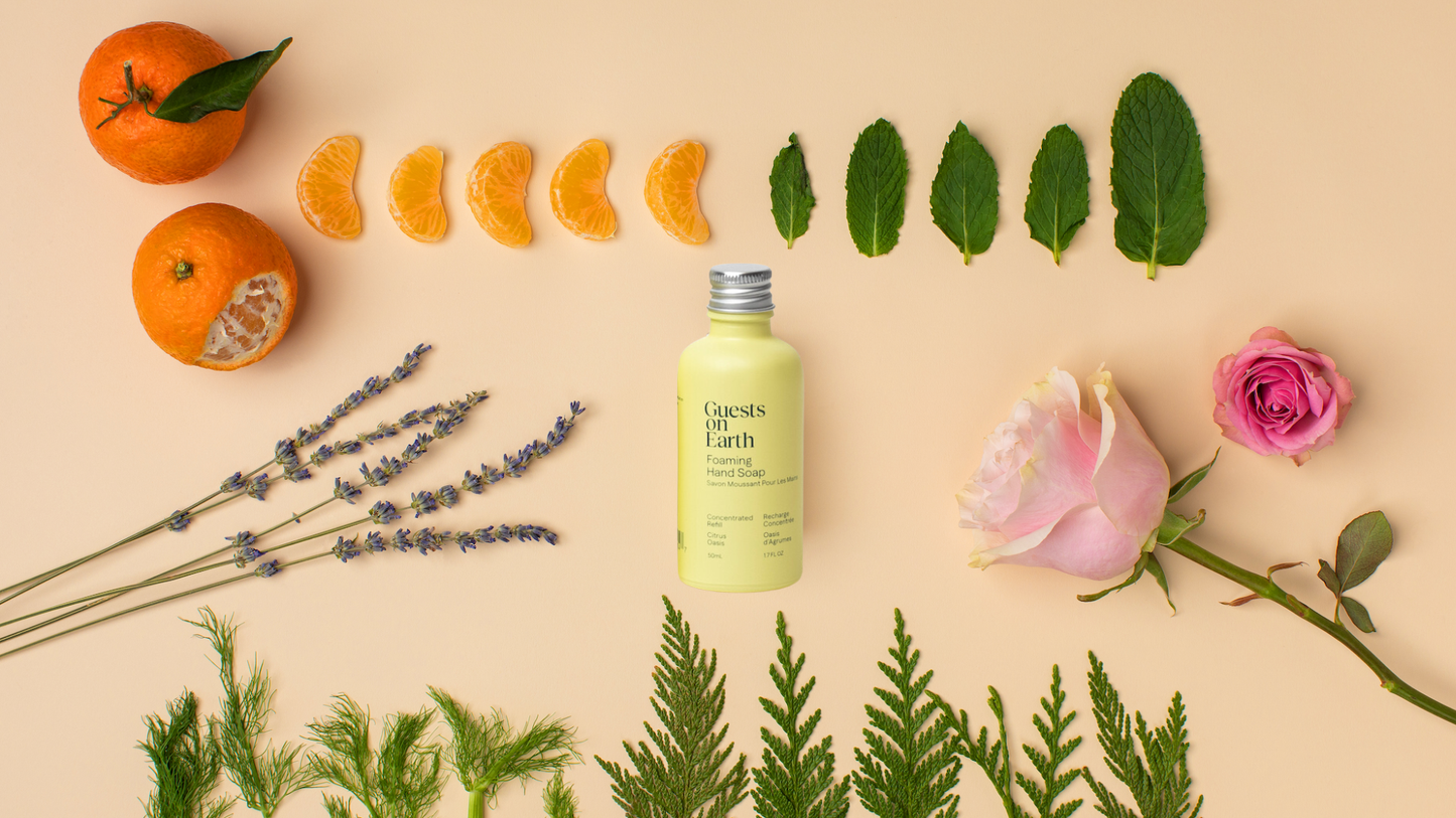 All-Purpose Cleaner Citrus Oasis | Science Backed Essentials