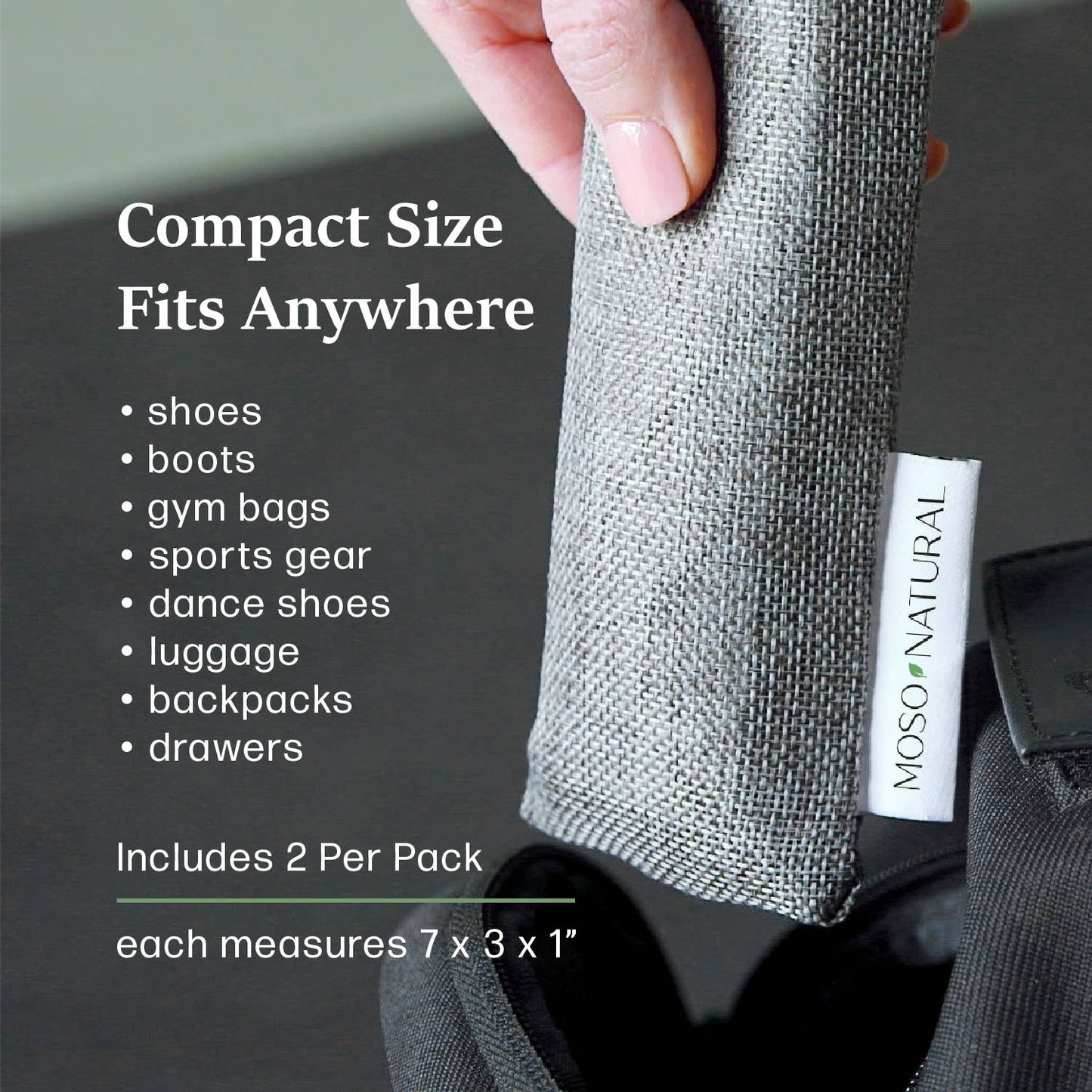 Shoe & Sport Gear Deodorizers w/ Bamboo Charcoal, 2PK