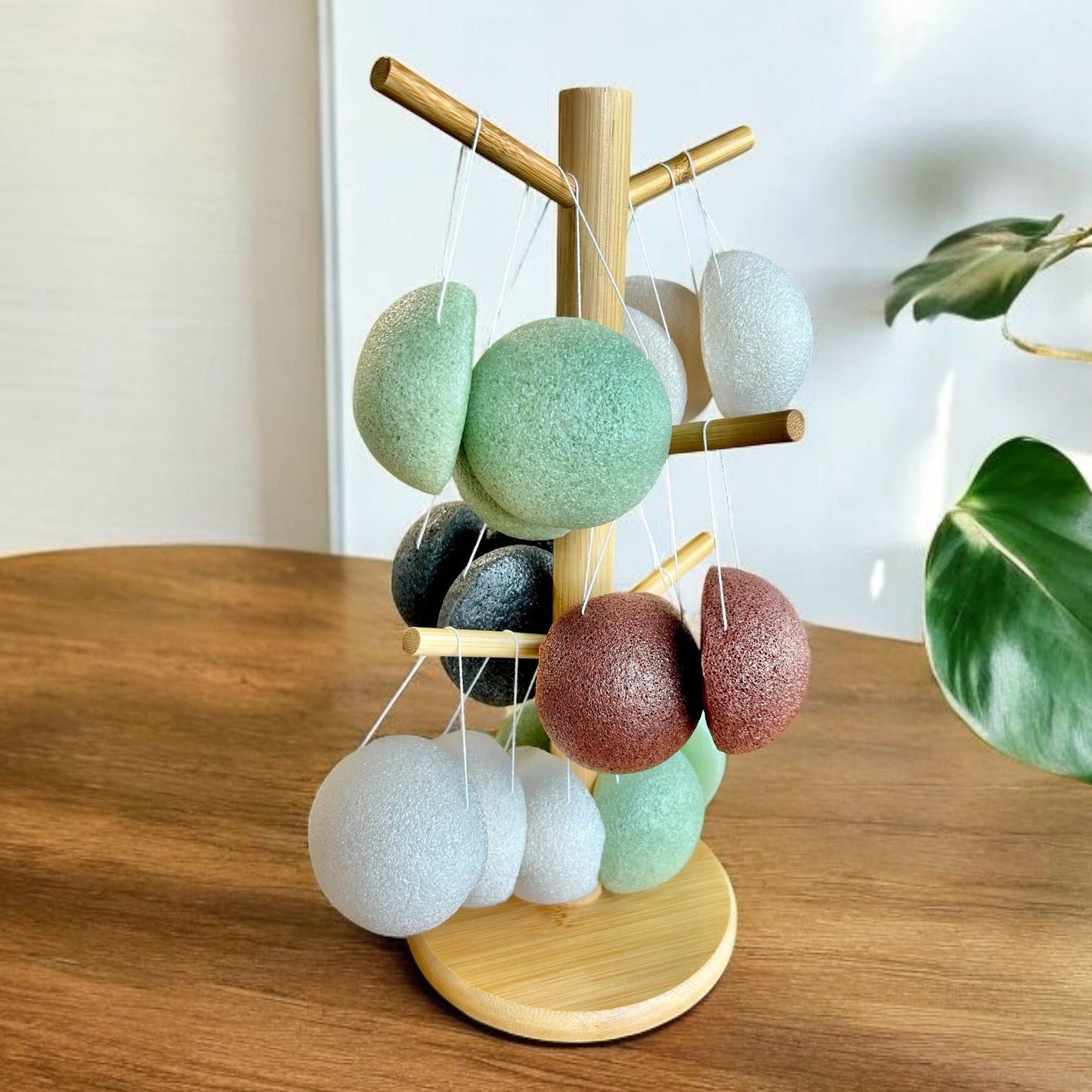 Konjac Facial Sponge Bamboo Retail Display