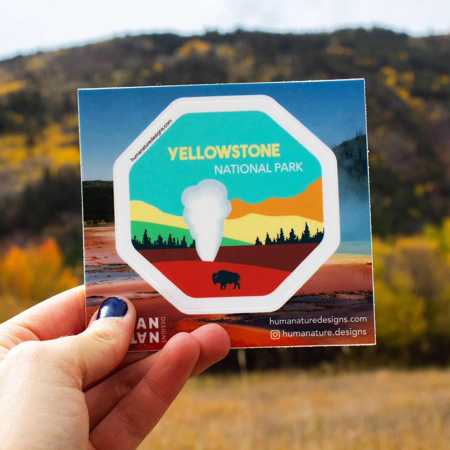 Yellowstone National Park Sticker  Yellowstone Souvenir