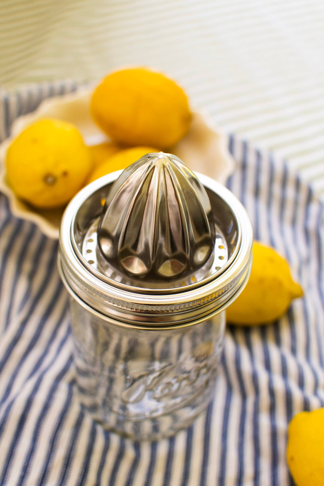 Stainless Steel Juicer - Wide Mouth