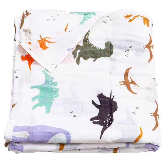Ali+Oli - Bamboo Muslin Swaddle Blanket (Dinosaurs)