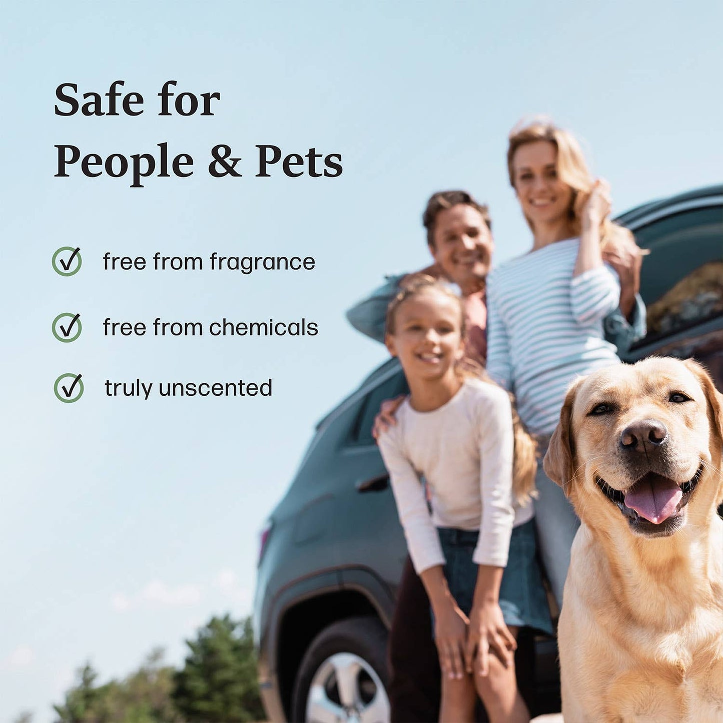 Car Odor Eliminator & Air Freshener w/ Bamboo Charcoal