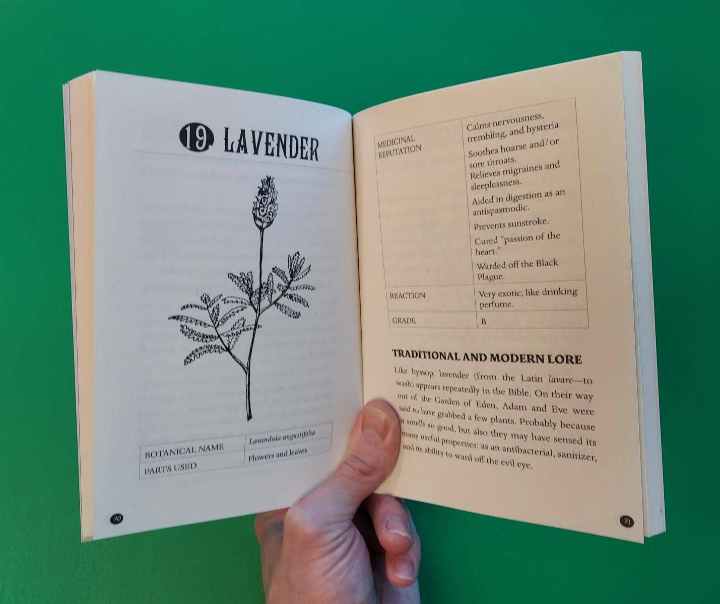 Microcosm Publishing & Distribution - Everyday Herbal Teamaking: Health, Fun, and Self-Care Guide