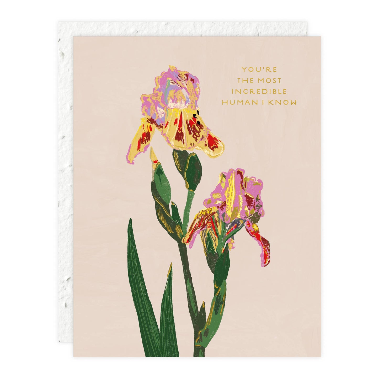 Whimsy Bloom - Love + Friendship Card