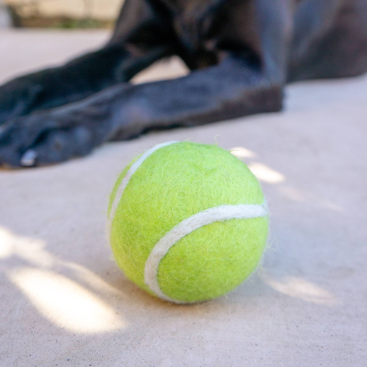 Tennis Eco Wool Dryer Balls - GRAND SLAM