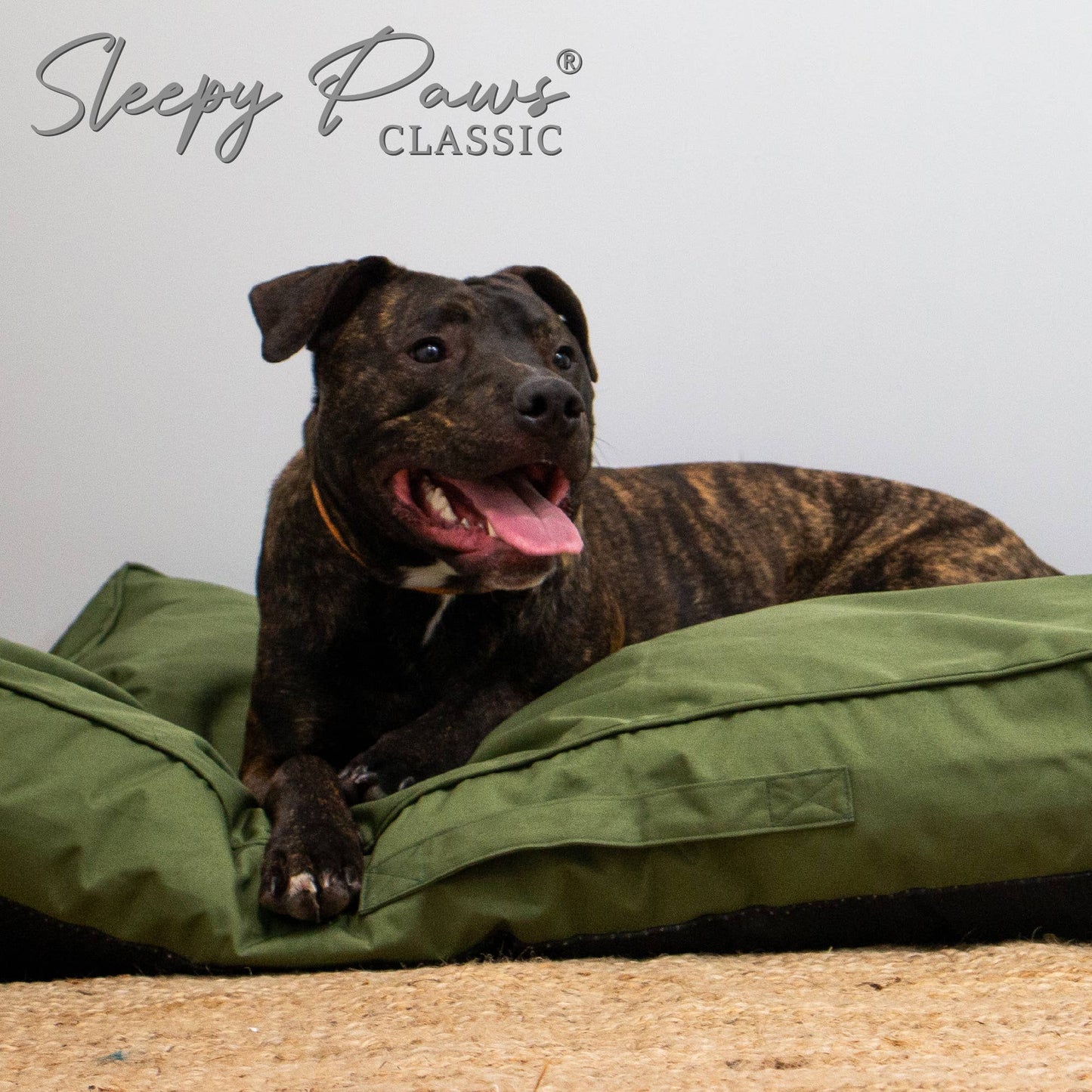 Oxford Green Dog Mattress