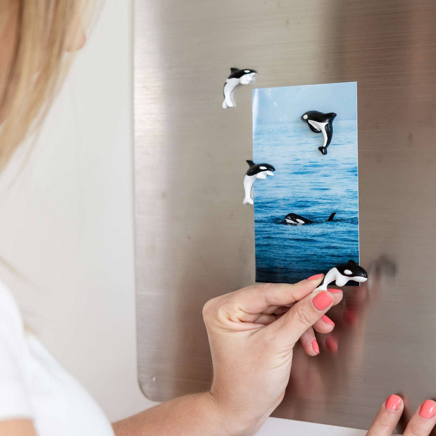 Orca magnets