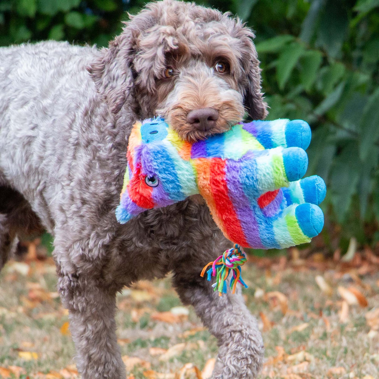 Pawty Piñata