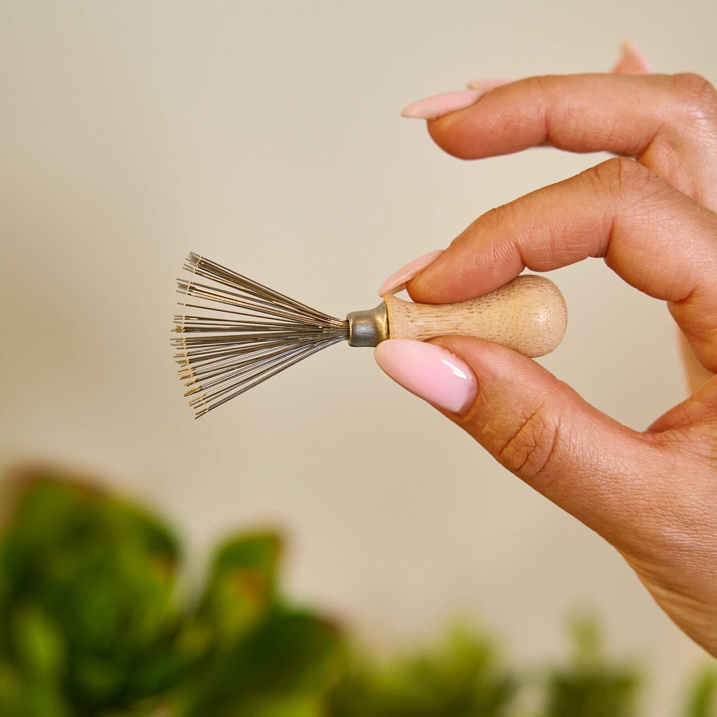 Hairbrush Cleaning Tool
