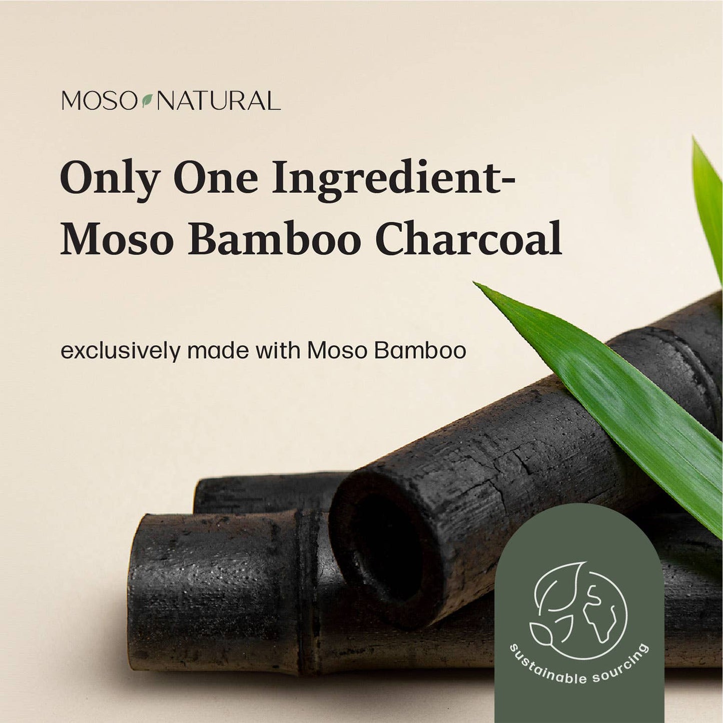 300g Air Purifying Bag for Small Spaces, Bamboo Charcoal