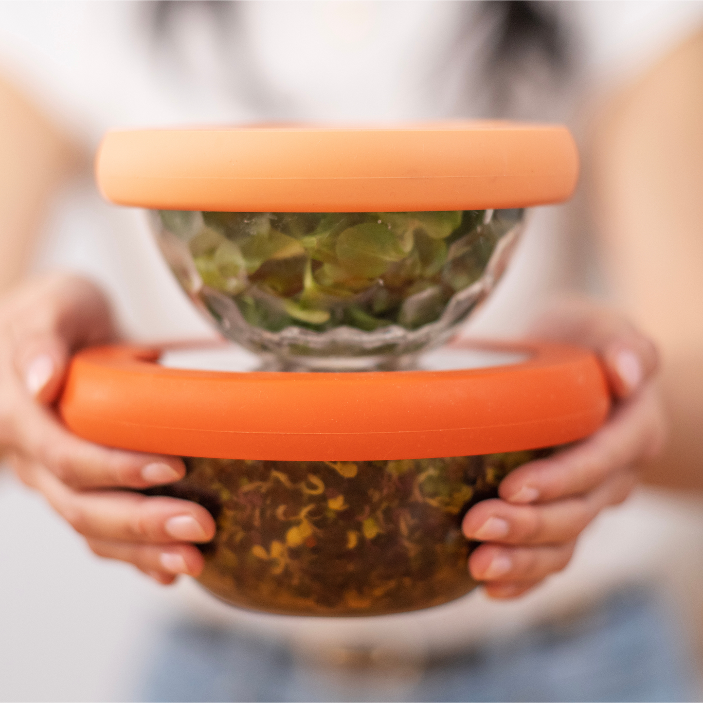 Glass Bowl Lids with Silicone Seal (Set/2)  Terra Cotta