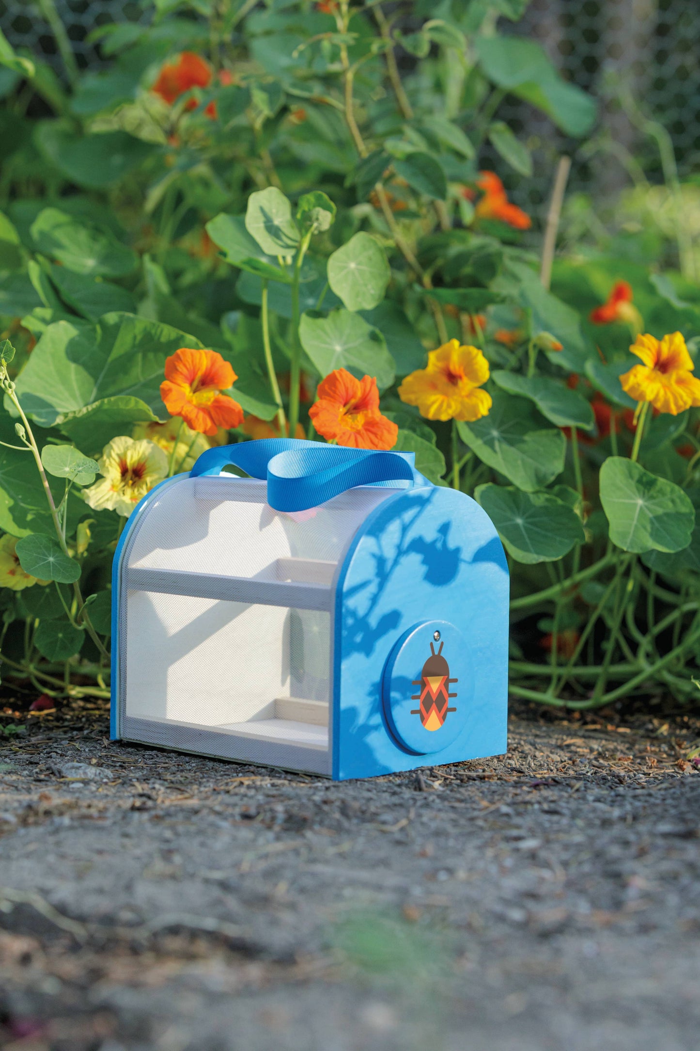 Toysmith - Beetle & Bee Critter Case  Certified Wood-Outdoor Play