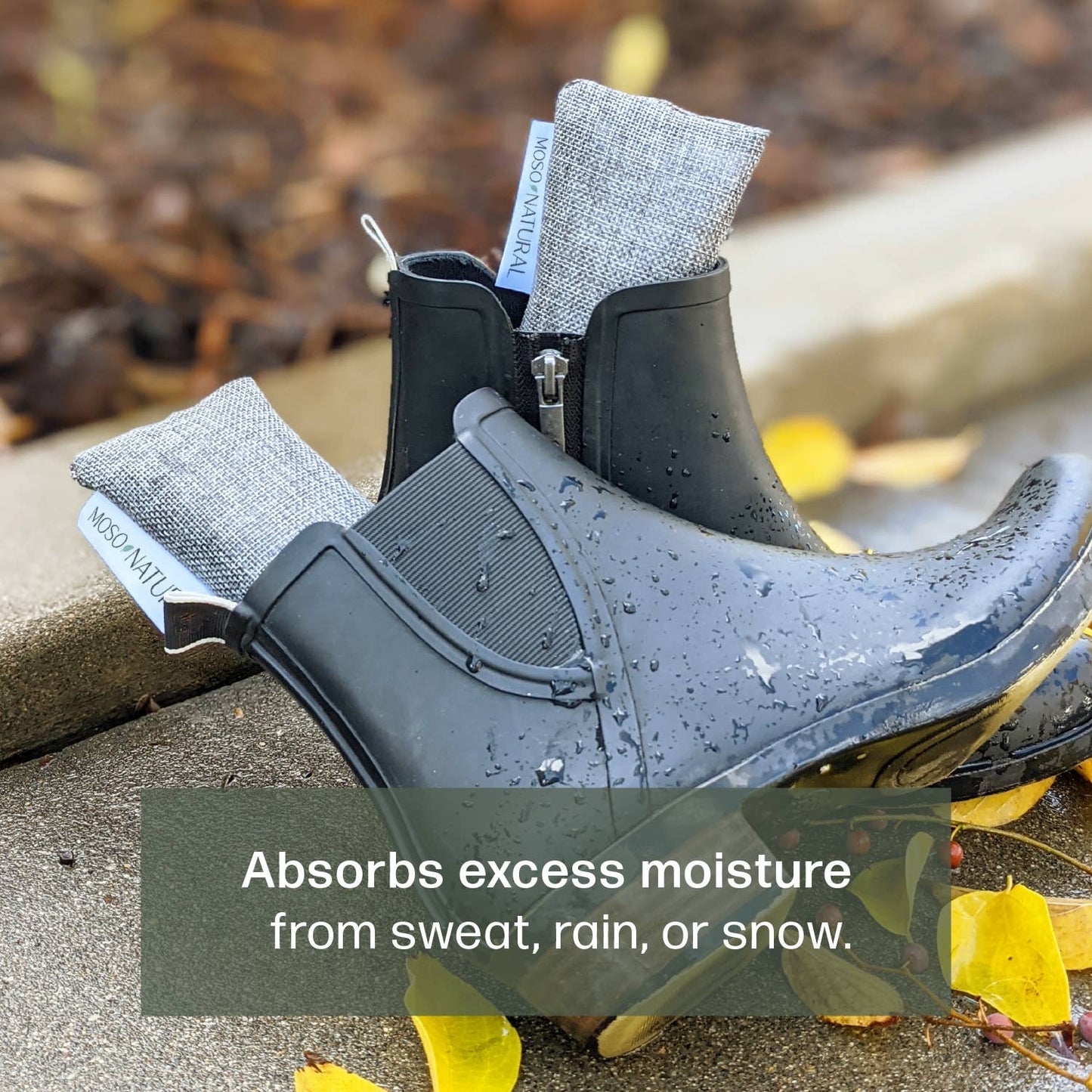 Shoe & Sport Gear Deodorizers w/ Bamboo Charcoal, 2PK
