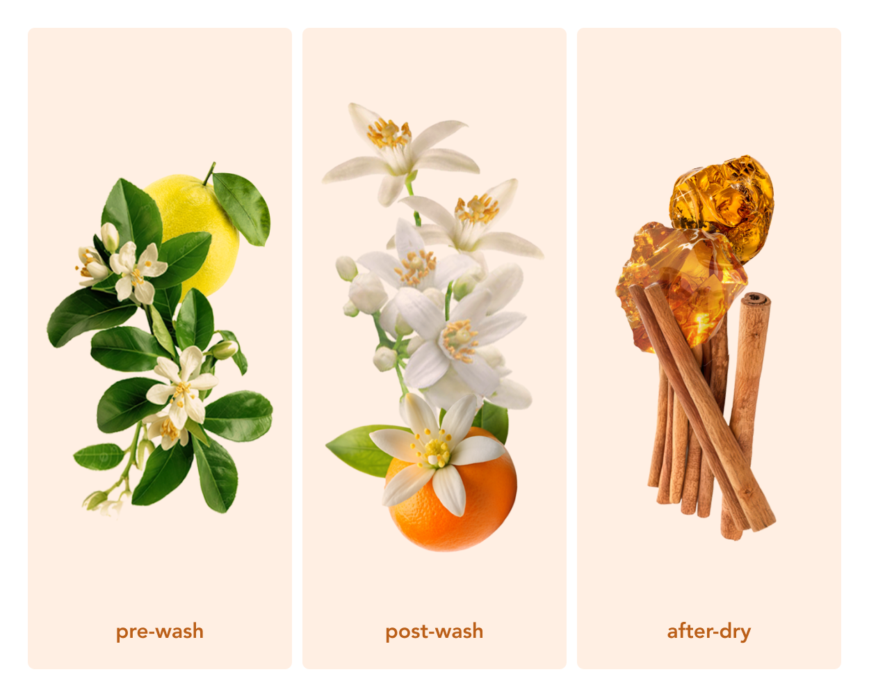 In Wash Scent Boosters - Neroli Zen