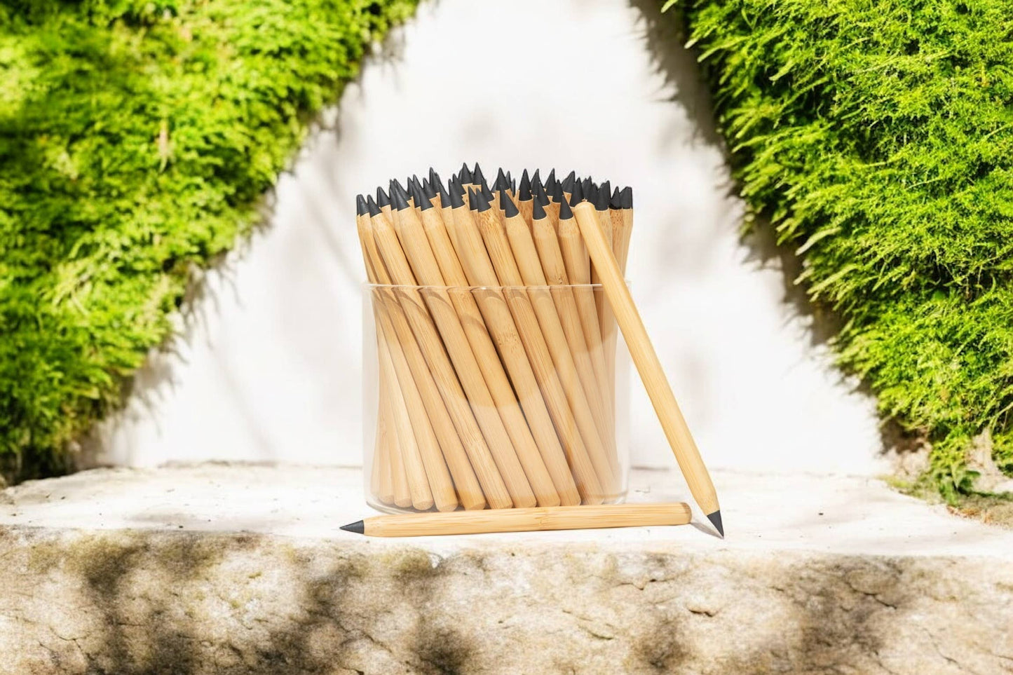 Bamboo Switch - Never Ending Bamboo Pencil | POS | Bestseller