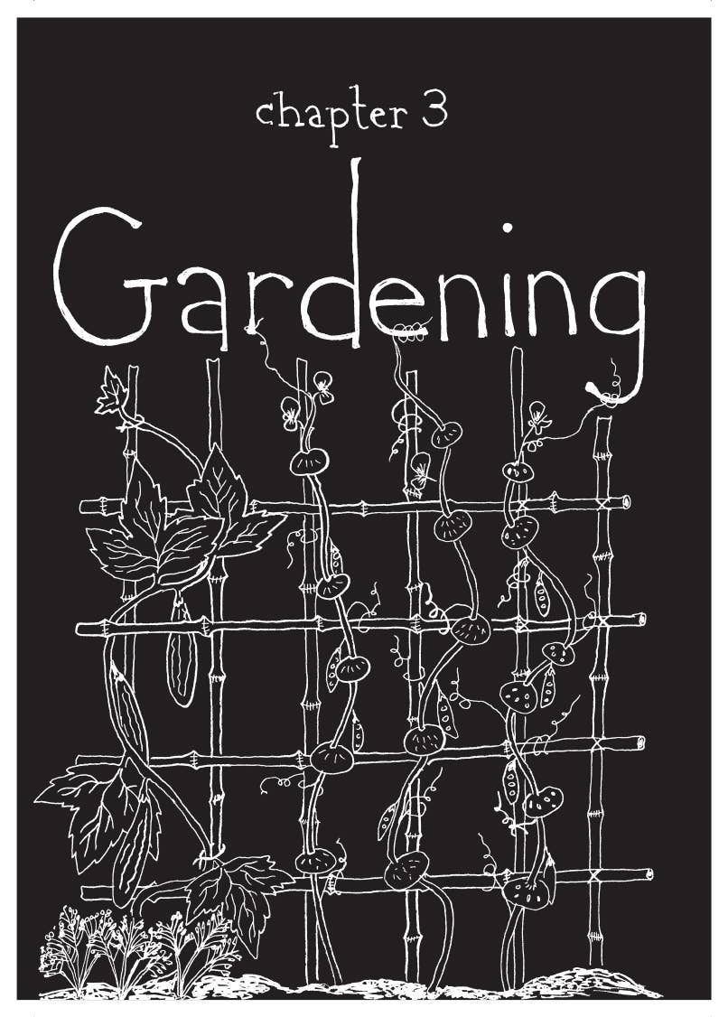 Microcosm Publishing & Distribution - Your Cozy Life: DIY Nesting Skills for a Sustainable Home