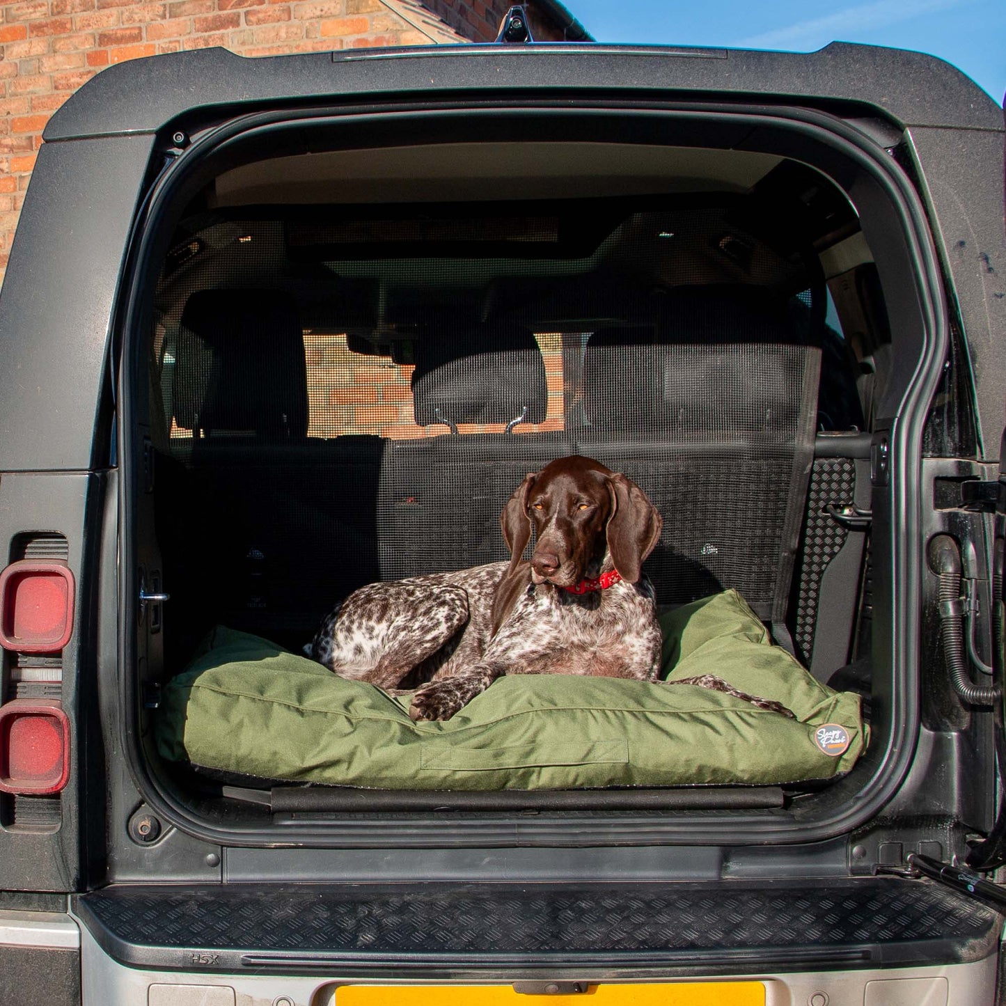Oxford Green Dog Mattress