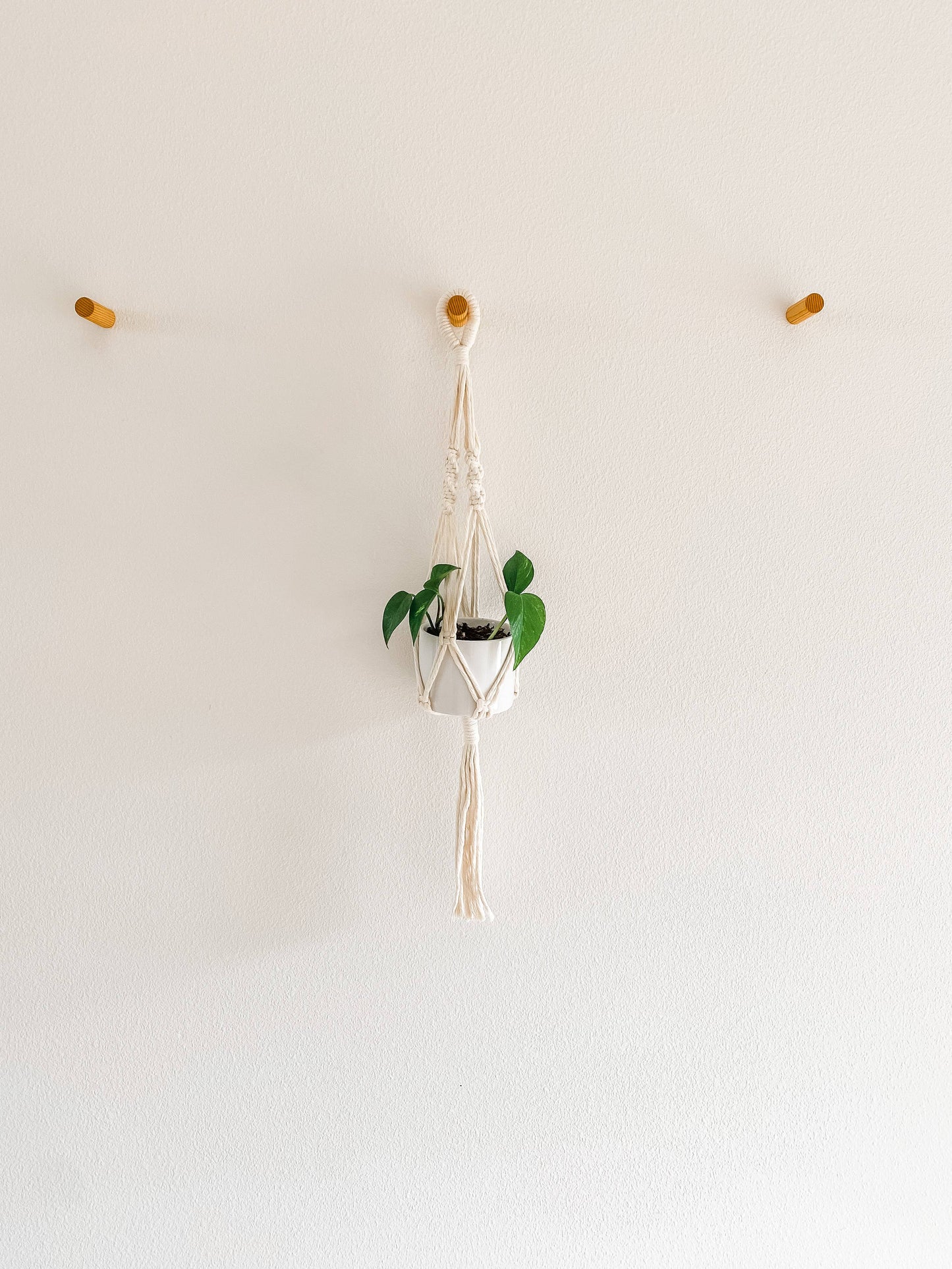 Macrame Plant Hanger/ Holder