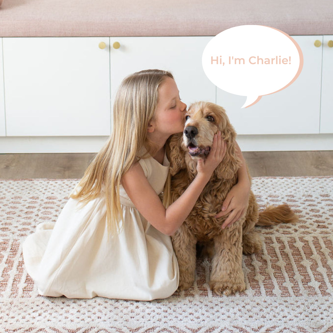 Charlie Weighted Puppy – Kids Calming Sensory Toy