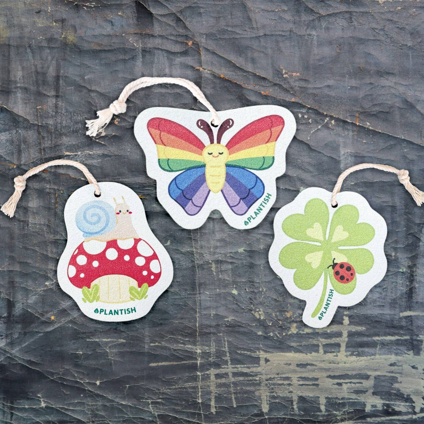 Rainbow Flutter - Pop Up Sponge