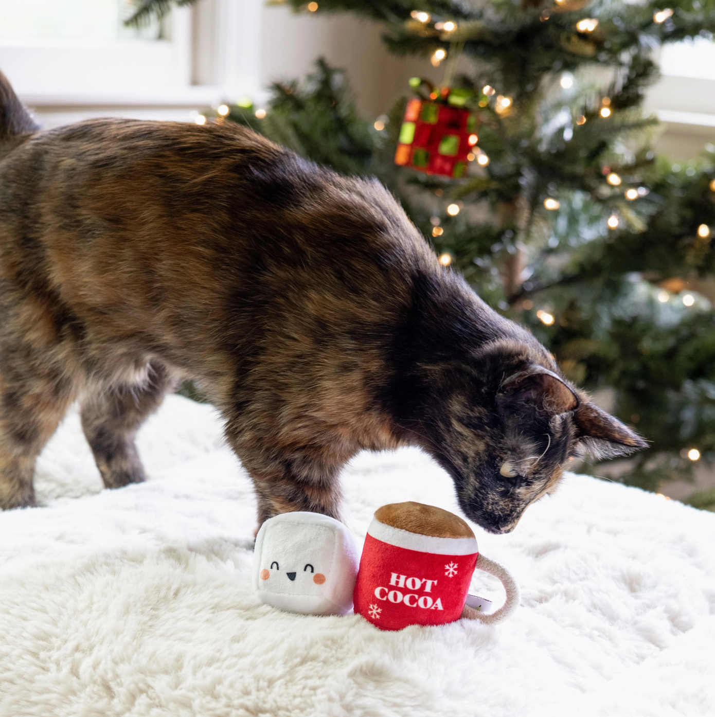 Christmas Hot Cocoa Cat Toys Set