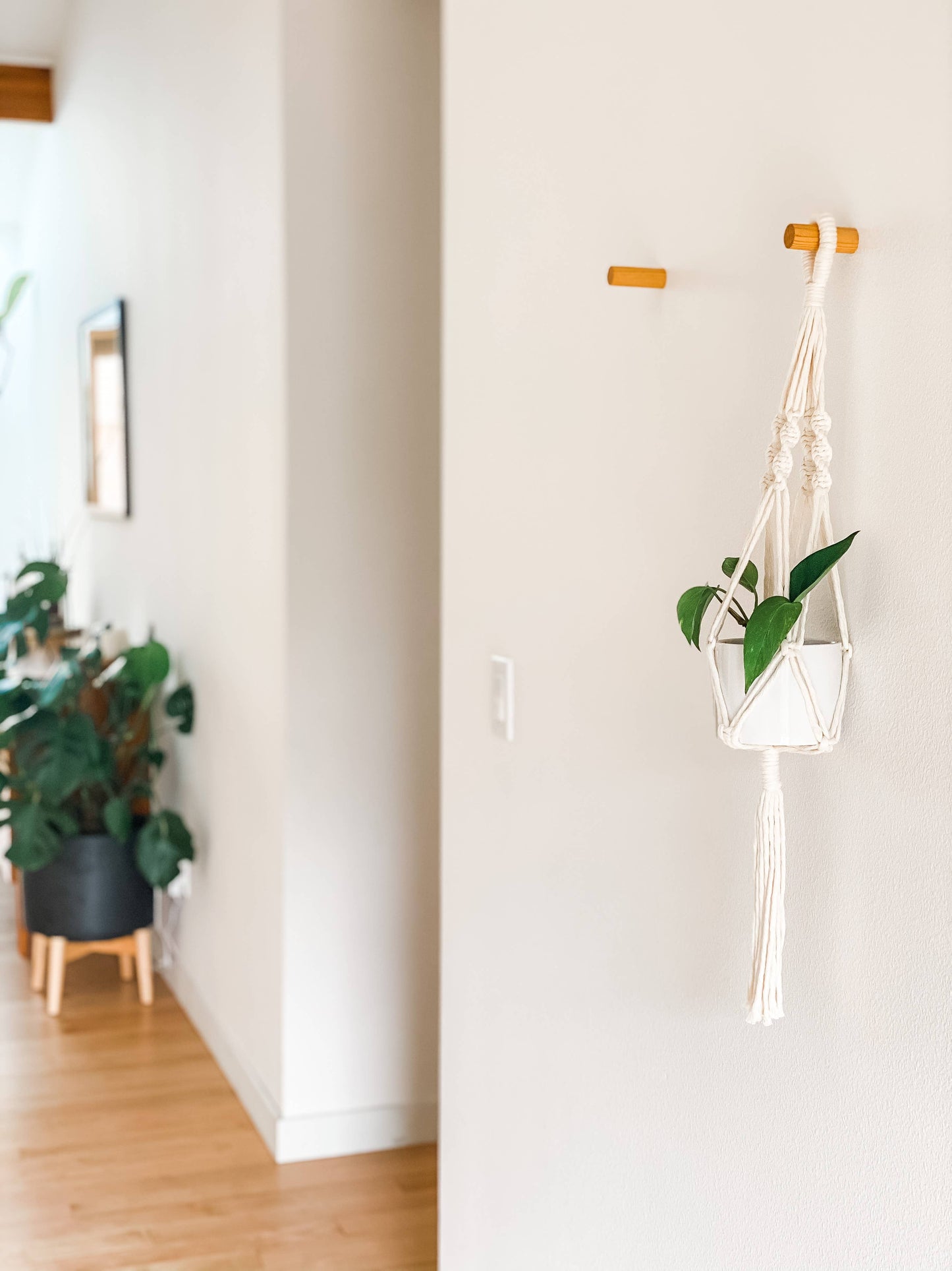 Macrame Plant Hanger/ Holder