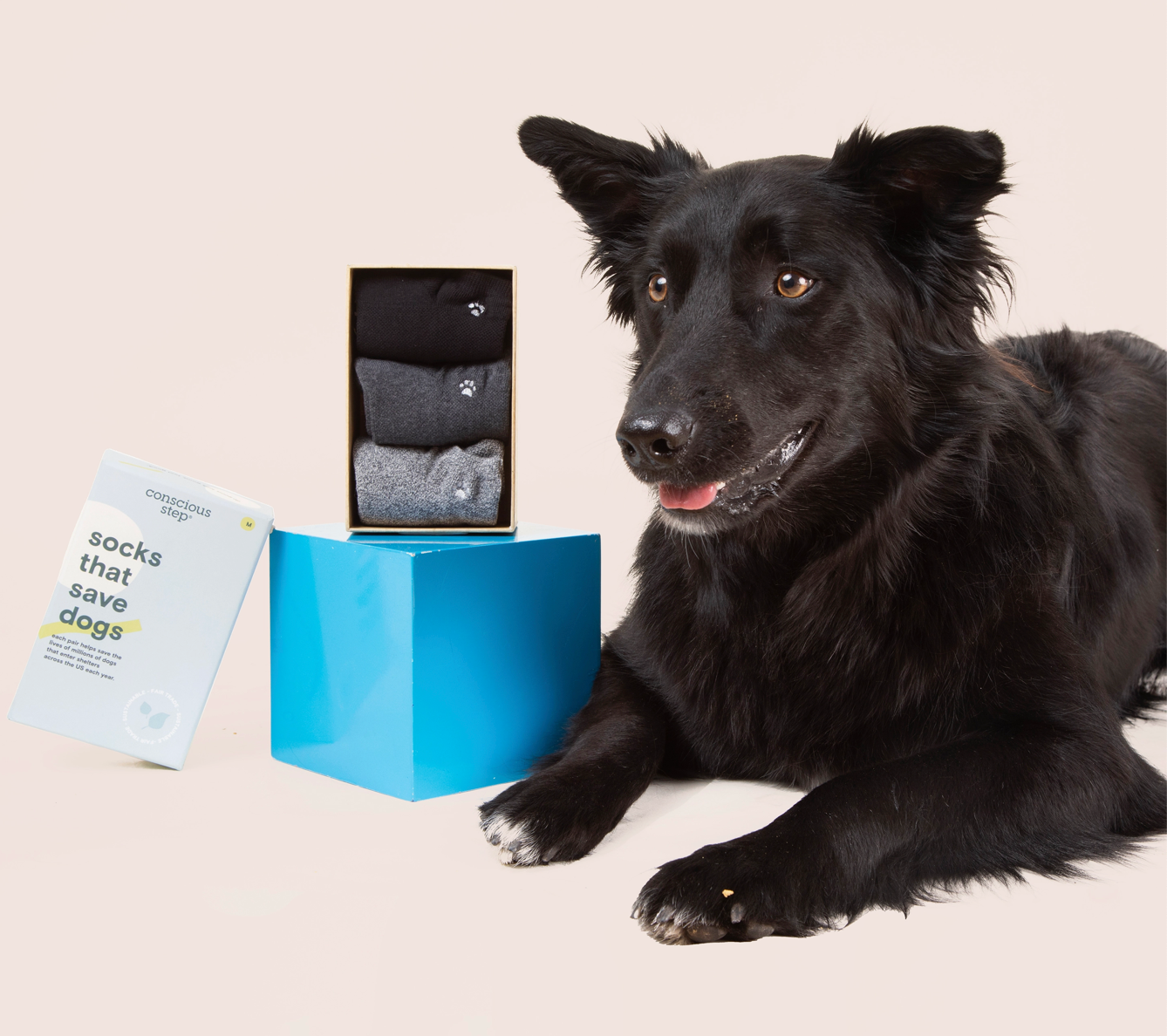 Socks Box Set of Three - That Save Dogs