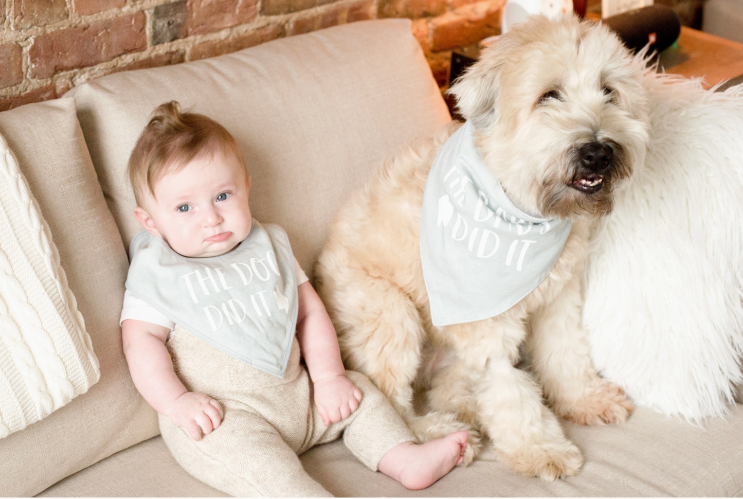 Baby & Pet Bib Set