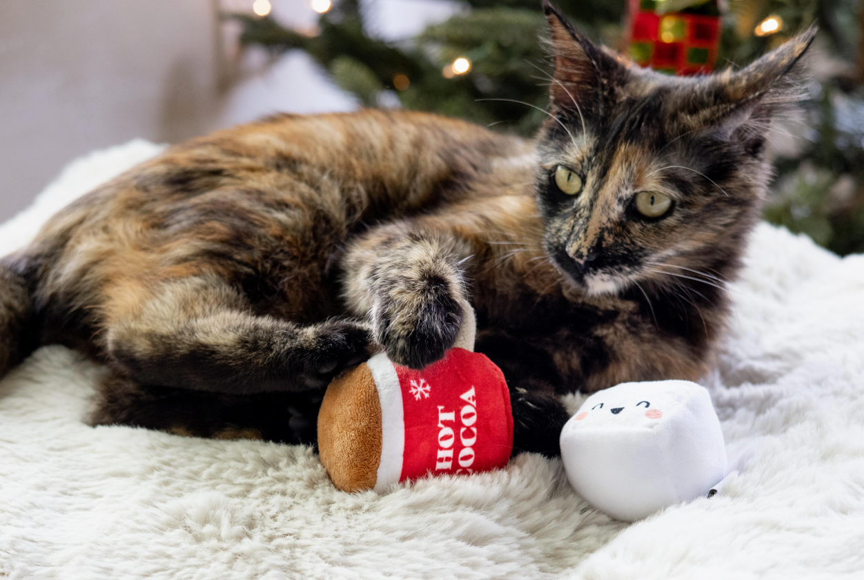 Christmas Hot Cocoa Cat Toys Set