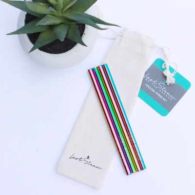 Rainbow Cocktail Stainless Steel Metal Straw Set