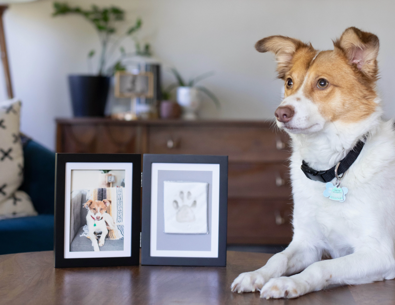 Keepsake Photo & Impression Frame Kit